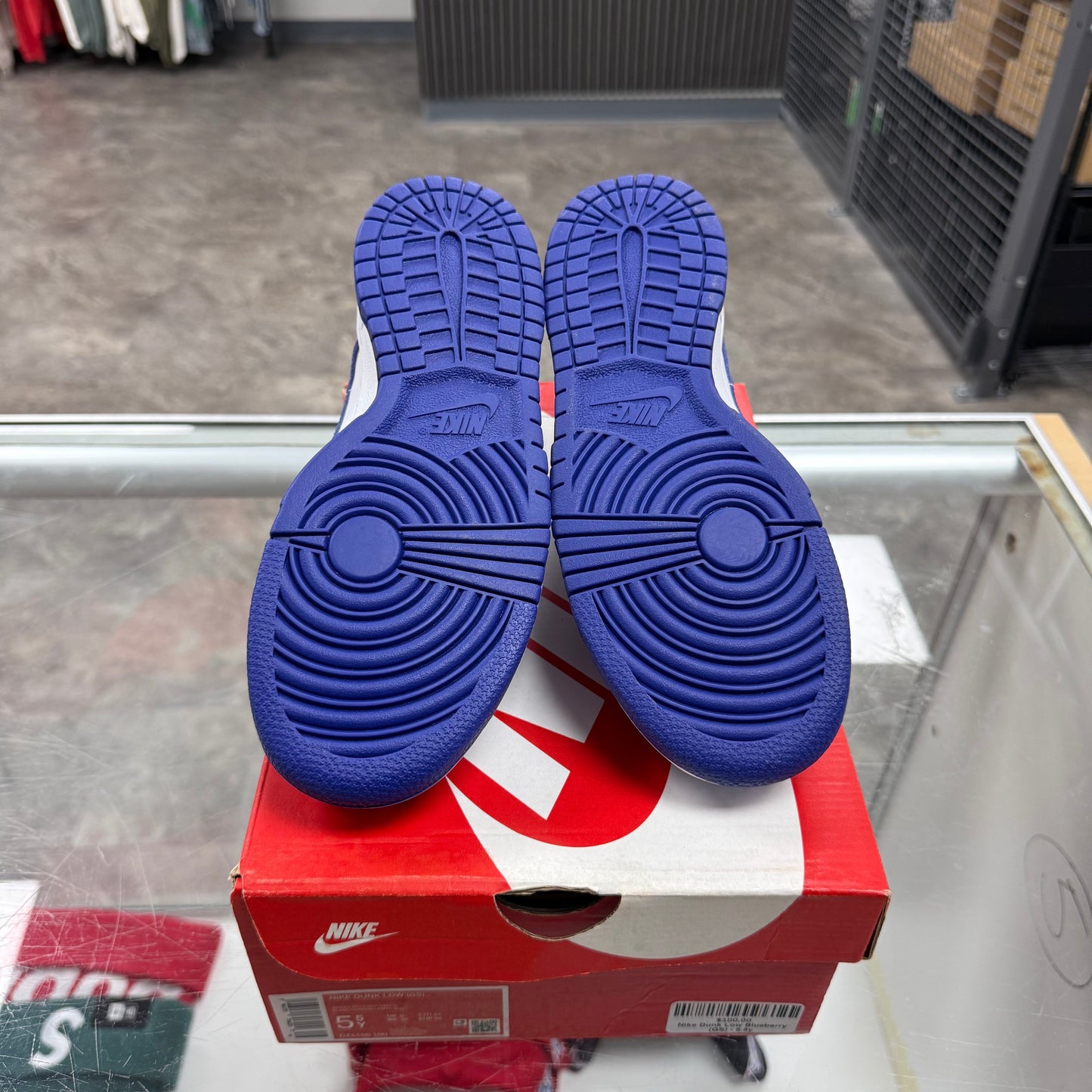 Nike Dunk Low Blueberry (GS)
