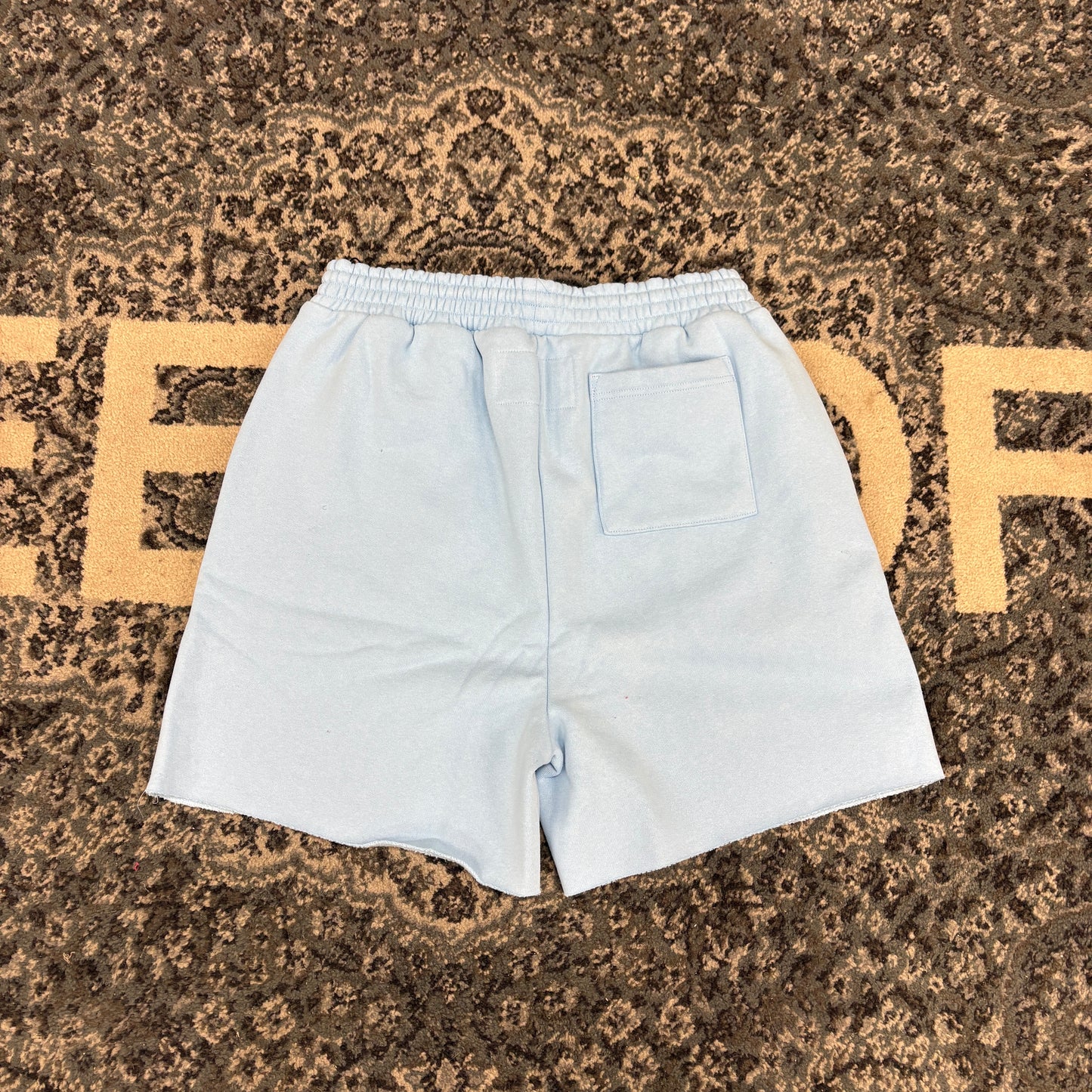 Sp5der OG Web Sweatshort (SS26) Sky Blue