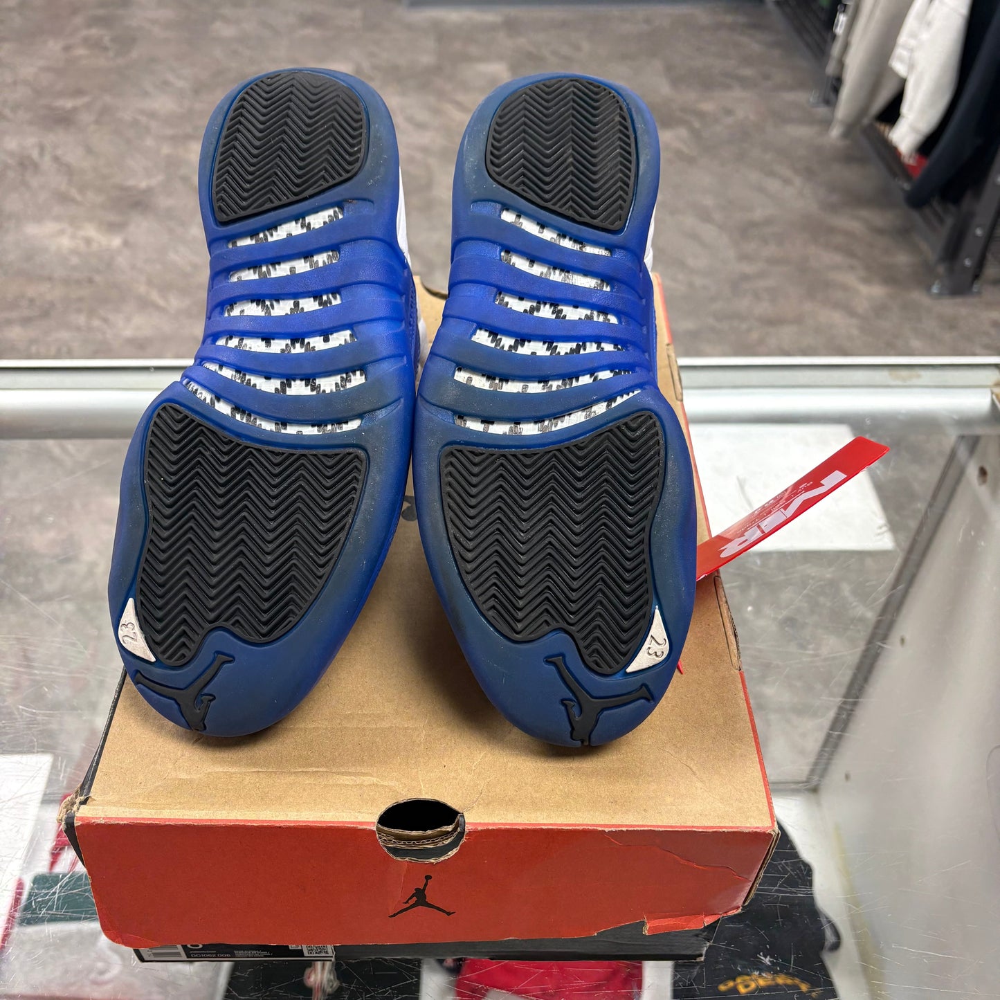Air Jordan 12 Blueberry