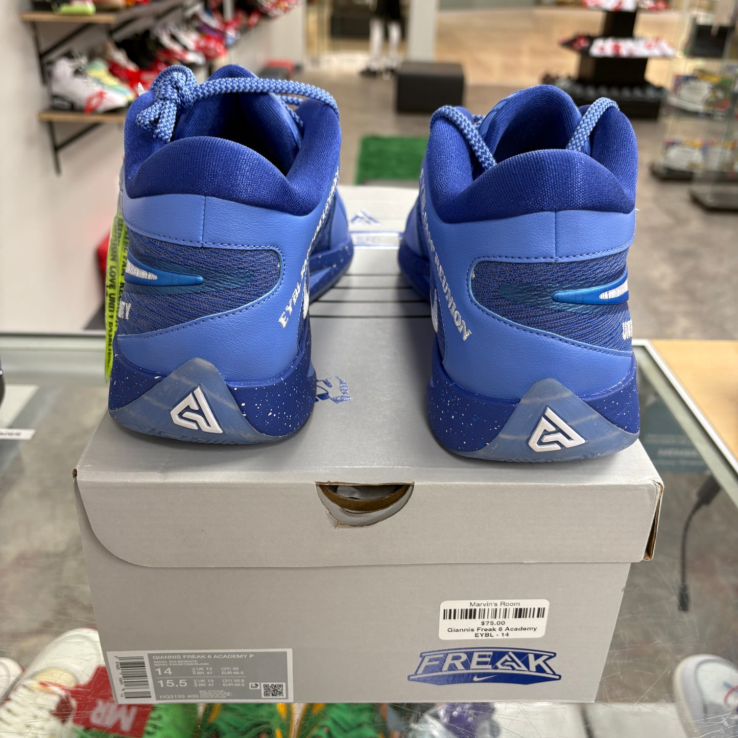 Nike Giannis Zoom Freak 6 EYBL Academy PE