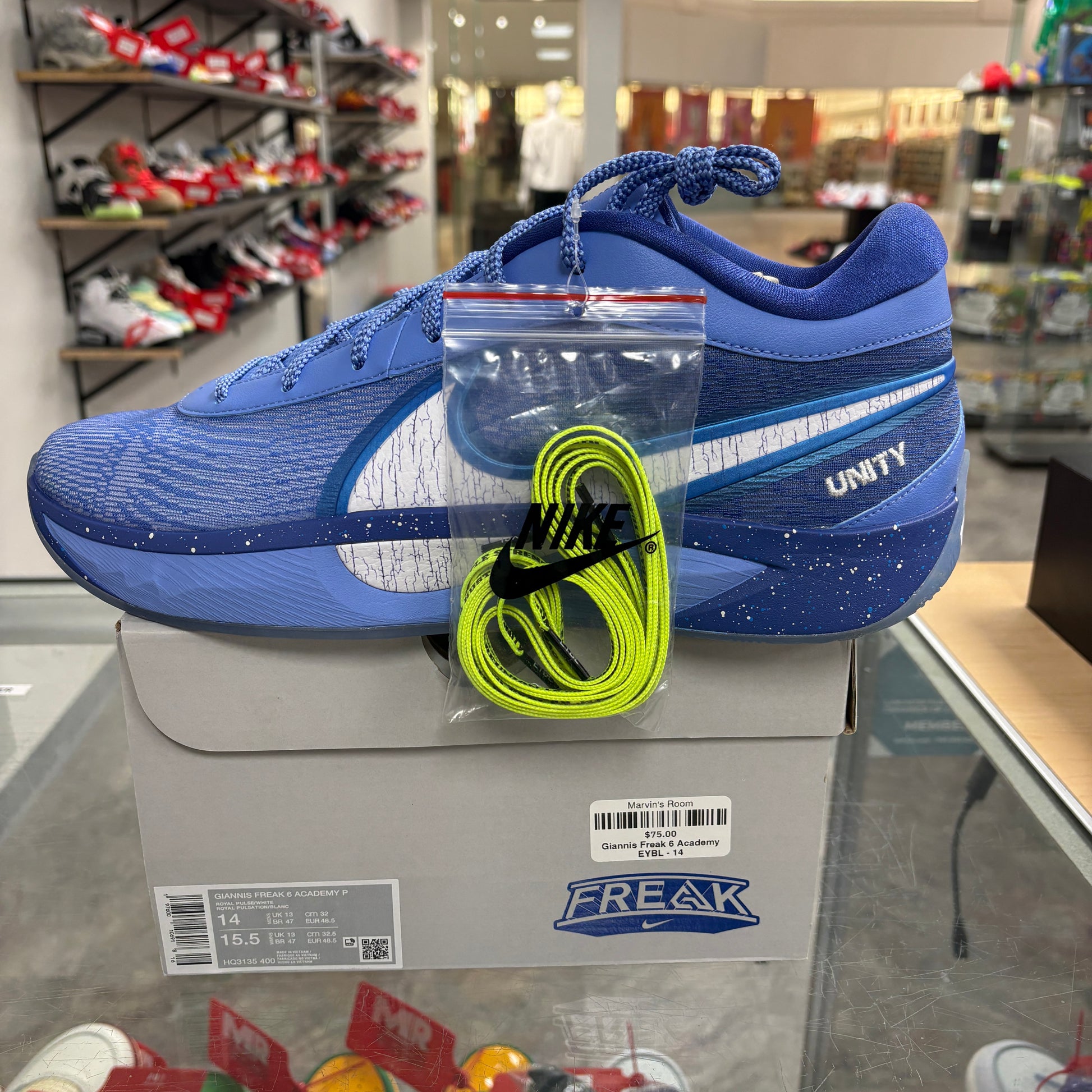 Nike Giannis Zoom Freak 6 EYBL Academy PE
