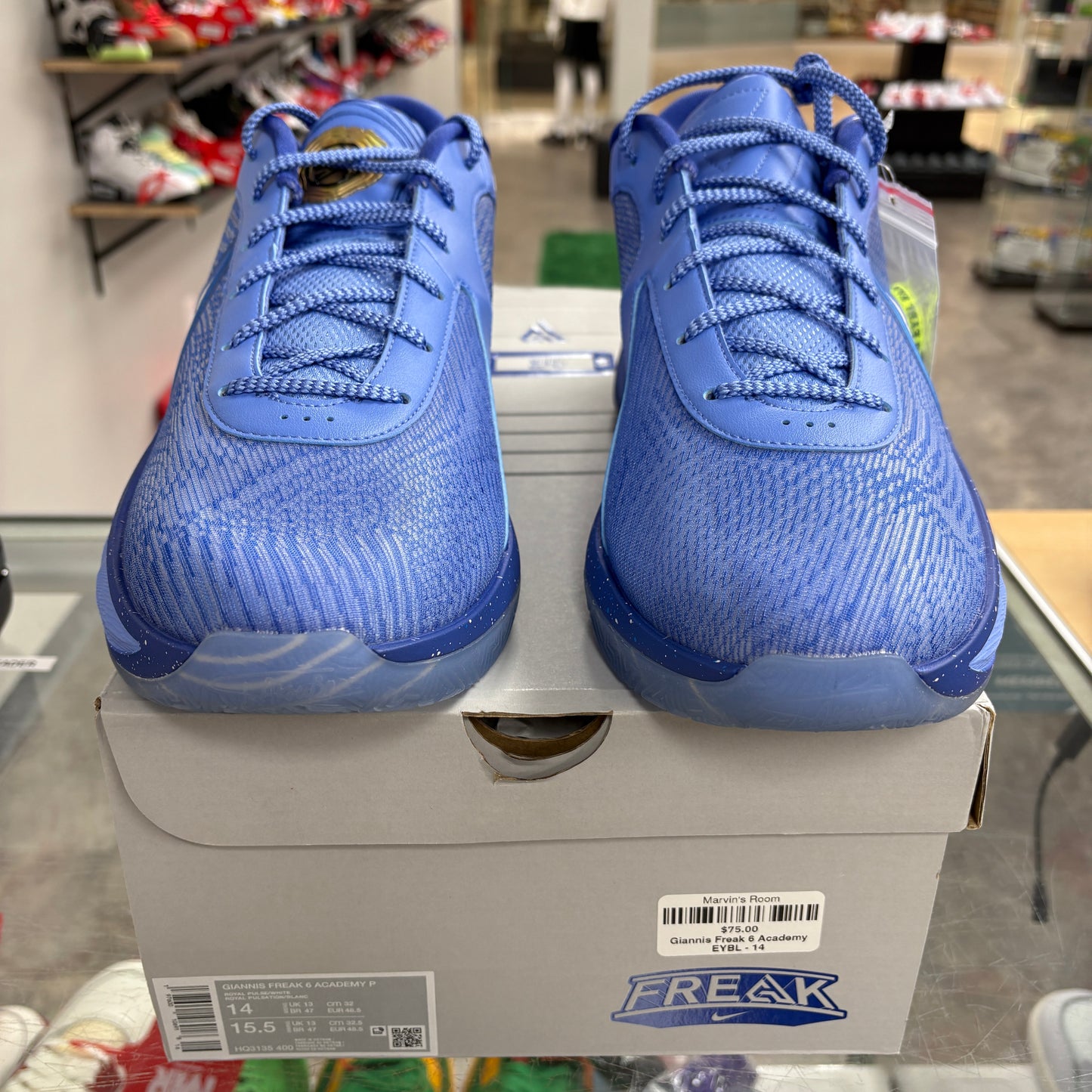 Nike Giannis Zoom Freak 6 EYBL Academy PE