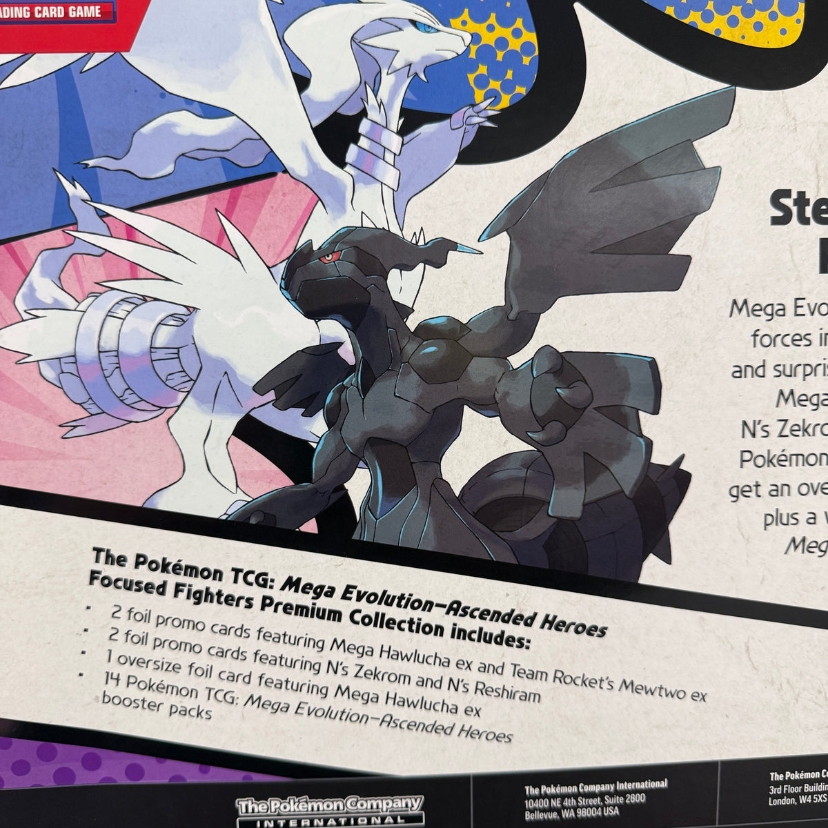 2026 Pokémon Mega Evolution Ascended Heroes Focused Fighters Premium Collection (Sam's Club Exclusive)